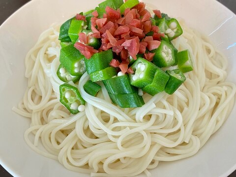 食欲をそそる！ネバネバさっぱり麺